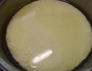Сыр моцарелла в домашних условиях 